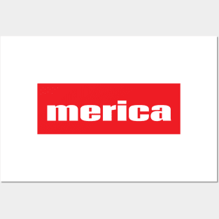 Merica Words Millennials Use America Posters and Art